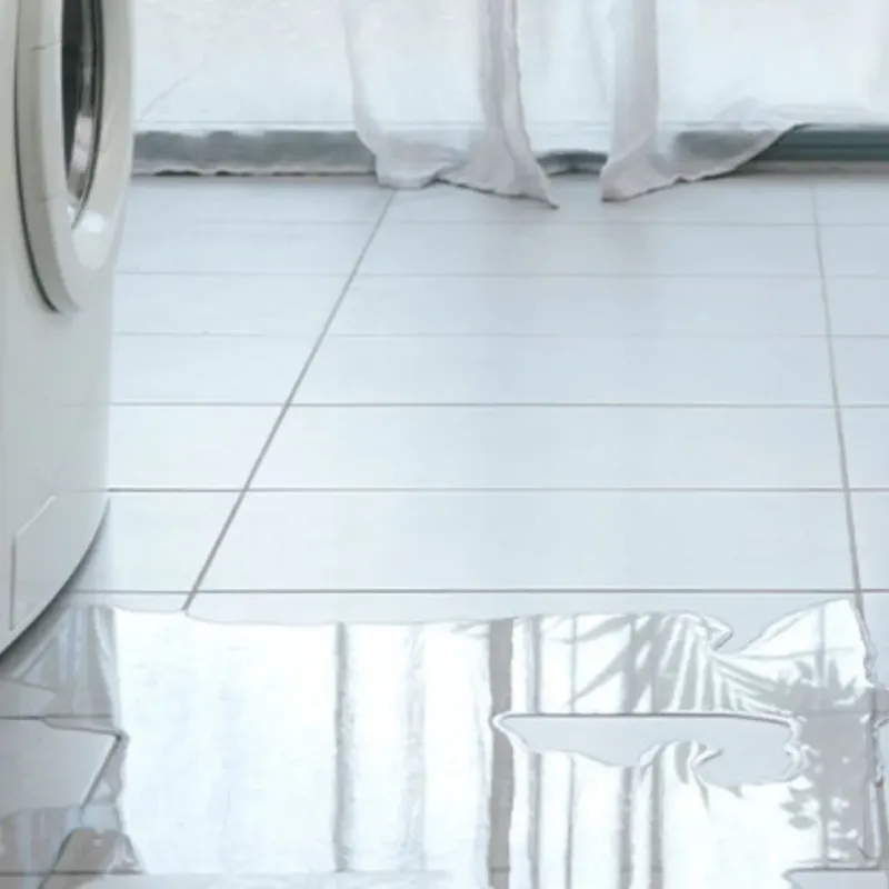 Appliance Leak Cleanup in Littleton, NH