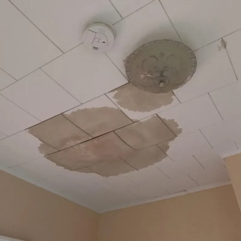 Ceiling Water Damage Repair in Littleton, NH