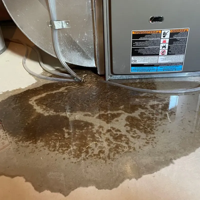 Pipe Burst and Leak Restoration in Littleton, NH